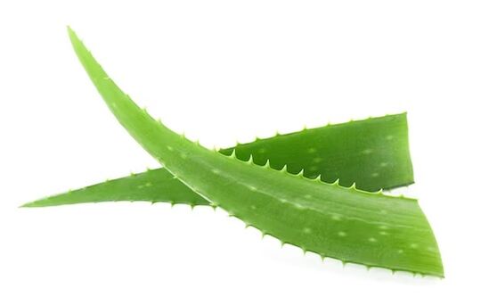 brand Fungeent brand contains aloe vera